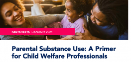 image shows text that reads: Factsheet Parental Substance a primer for child welfare professionals 
