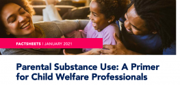 image shows text that reads: Factsheet Parental Substance a primer for child welfare professionals