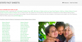 image shows text that reads: GrandFacts: State Fact Sheets for Grandparents and Other Relatives